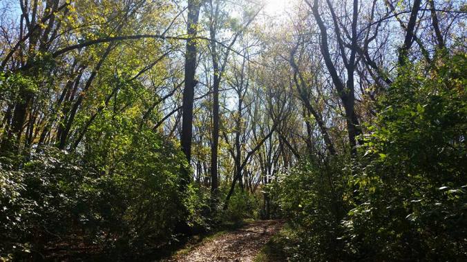 11224320_10207795029052221_6102066277185157717_n