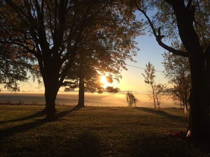 Morning Fog by Gail Rush