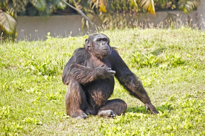 © Can Stock Photo Inc. / tantrik71 